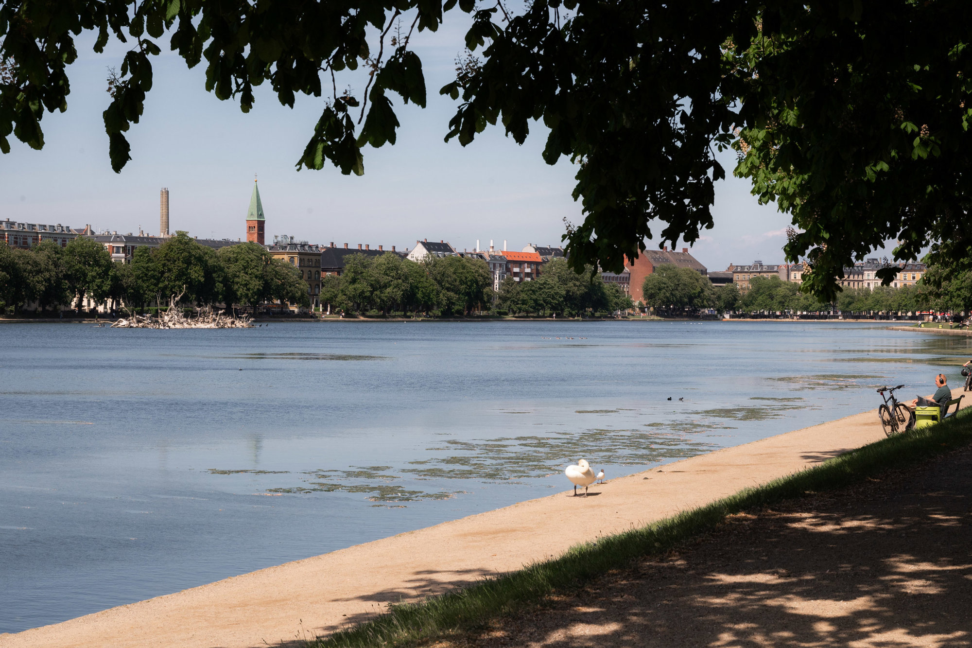 Webersgade 54, 2100 København Ø