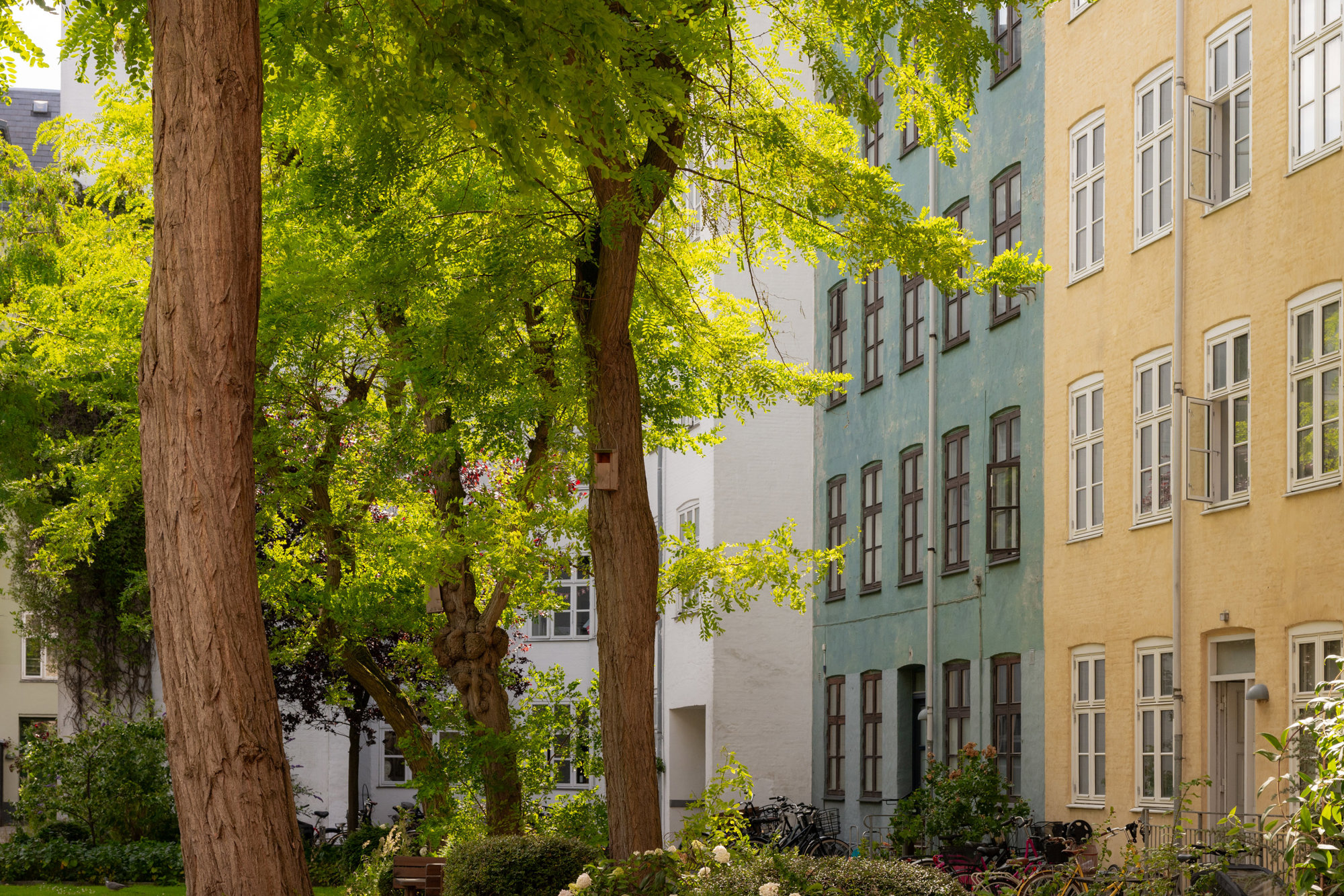 Sankt Pauls Gade 4, 1. tv., 1313 København K