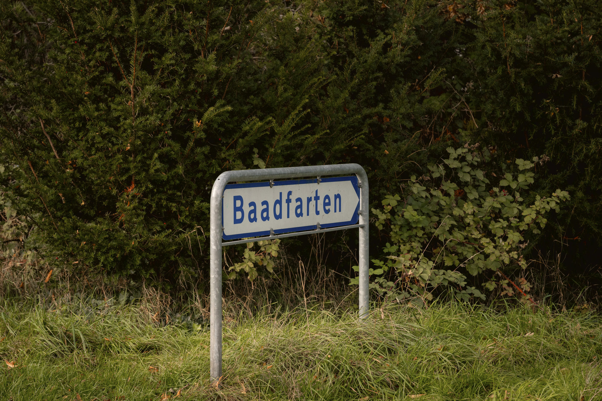 Søhuse 12, 2880 Bagsværd